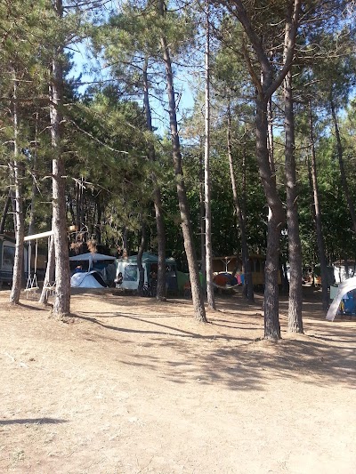 Photos of Campsite Zona Kraken