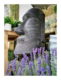 Photo n°14 de La Chimère | Fleuriste Nancy à Nancy (Service de plantes d'intérieur)