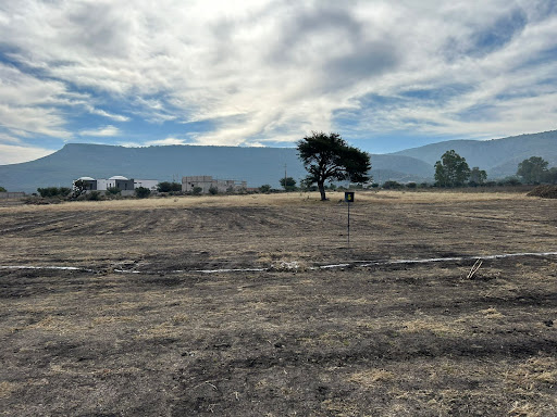 SAHAI Campestre - Thumbnail