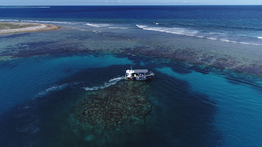 Piatella Glass Bottom Boat Tours Gallery - Australia