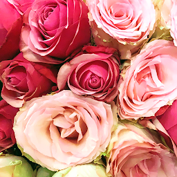 Photo n°13 de Le Boursault à Paris (Bureau de tabac)