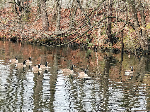 Roger C. Fisher Laurel River Park - Thumbnail