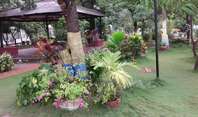 Photos of el Lim&oacute;n Park