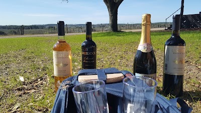 Photos of Lakeridge Winery & Vineyards
