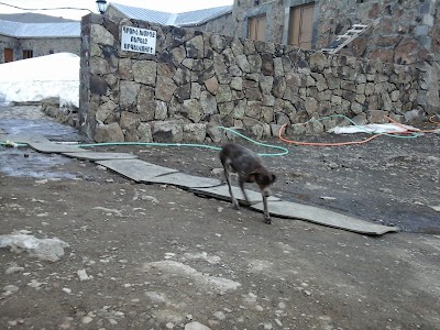 Photos of Aragats Alpine State Sanctuary