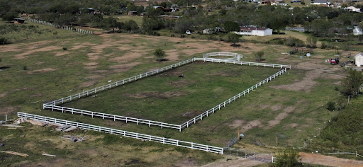 Elegancy Horse Riding academy - Thumbnail