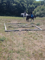 Photo n°6 de ecuries de panon à Cazats (Centre équestre)