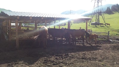 Photos of Alakol-Jyrgalan Eco Center