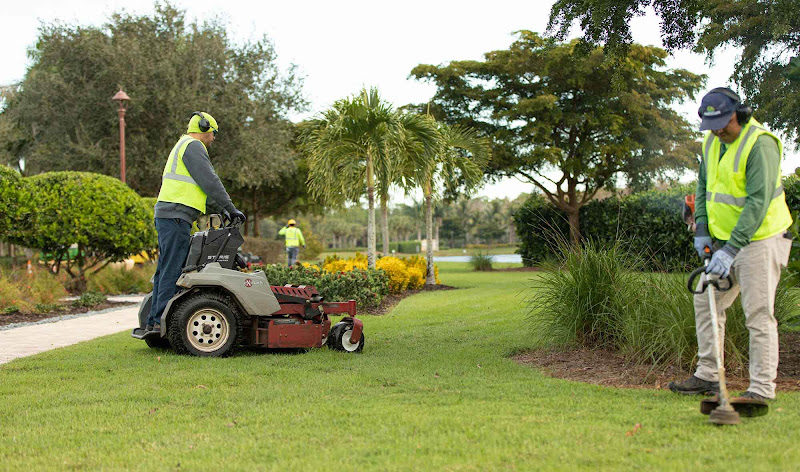 Sun City Landscaping Service