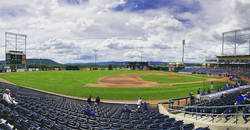 Medlar Field