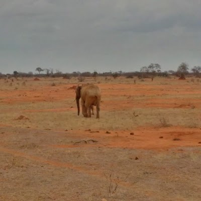 Photos of Marco Polo Tours And Safaris