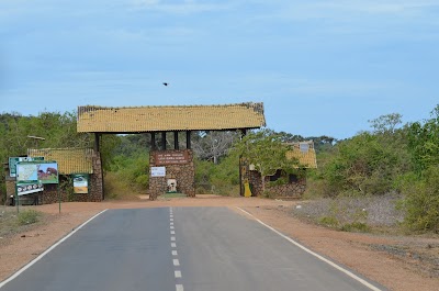 Photos of Yala Safaris Sri Lanka