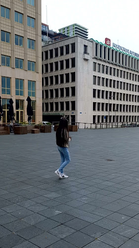 De Verwoeste Stad - Ossip Zadkine openingstijden