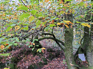 Photo n°14 de Camping, Gîte d'étape & Location Salle La Montagne Vihan (ouvert du 30/04 au 15/09) à Landeleau (Espace événementiel)