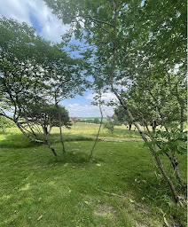 Photo n°49 de La Ferme de Villeneuve à Saint-Antoine (Maison d'hôtes)