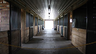 Leatherstocking Equine Center