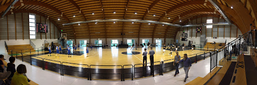 Palestra Comunale Saccon di San Vendemiano - Thumbnail