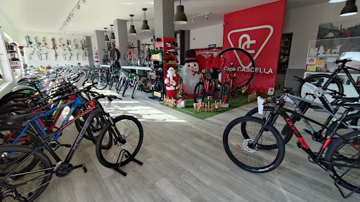 Cicli Cascella - Visual