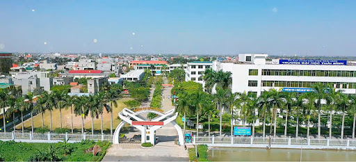 Thông