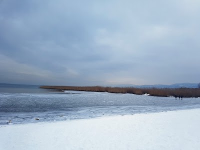 Photos of Taverna Zenska Plaza