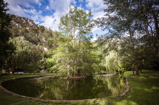 Photo 8 - Moune