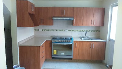 Photos of MossWood