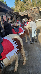 Photo n°12 de Claire Equitation à Saintes-Maries-de-la-Mer (Centre de randonnée équestre)
