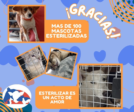 La Granja del Caporal - Thumbnail