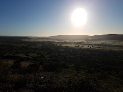 Photos of Amakhala Game Reserve