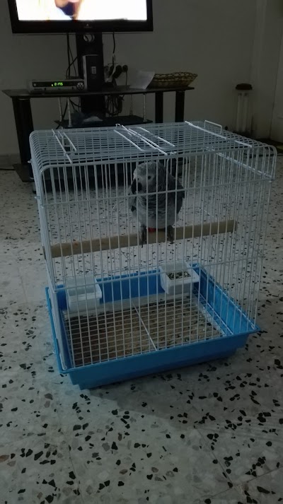 Photos of الجلسة لتجهيز المناسبات