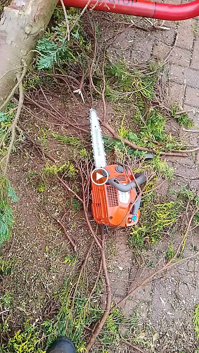 All Seasons Tree Services photo 3
