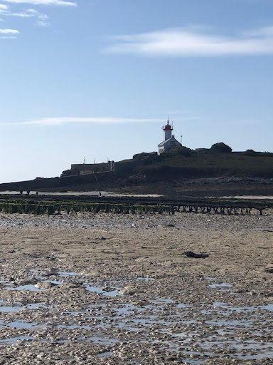 Menhir de Menozac’h (visible uniquement à marée basse) - Thumbnail