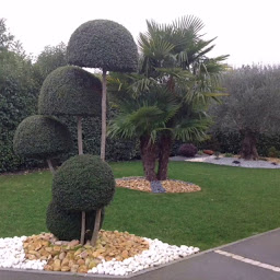 Photo n°2 de May jardin à Saint-Berthevin (Paysagiste)