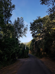 Photo n°57 de Camp Vallée Du Tarn à Courris (Terrain de camping)