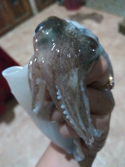 Photos of Pasar Kepiting