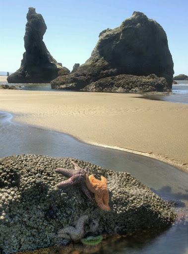 Bandon beach - Visual