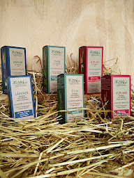 Photo n°5 de Netobio à Gavarret-sur-Aulouste (Fournisseur d'équipements de nettoyage et d'entretien)