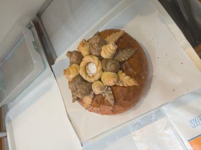 Piotrek