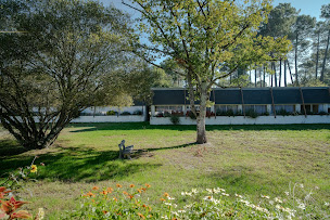 Photo n°8 de Maison de Sante les Pins à Pessac (Clinique de santé mentale)