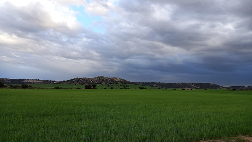 almaluez - Visual