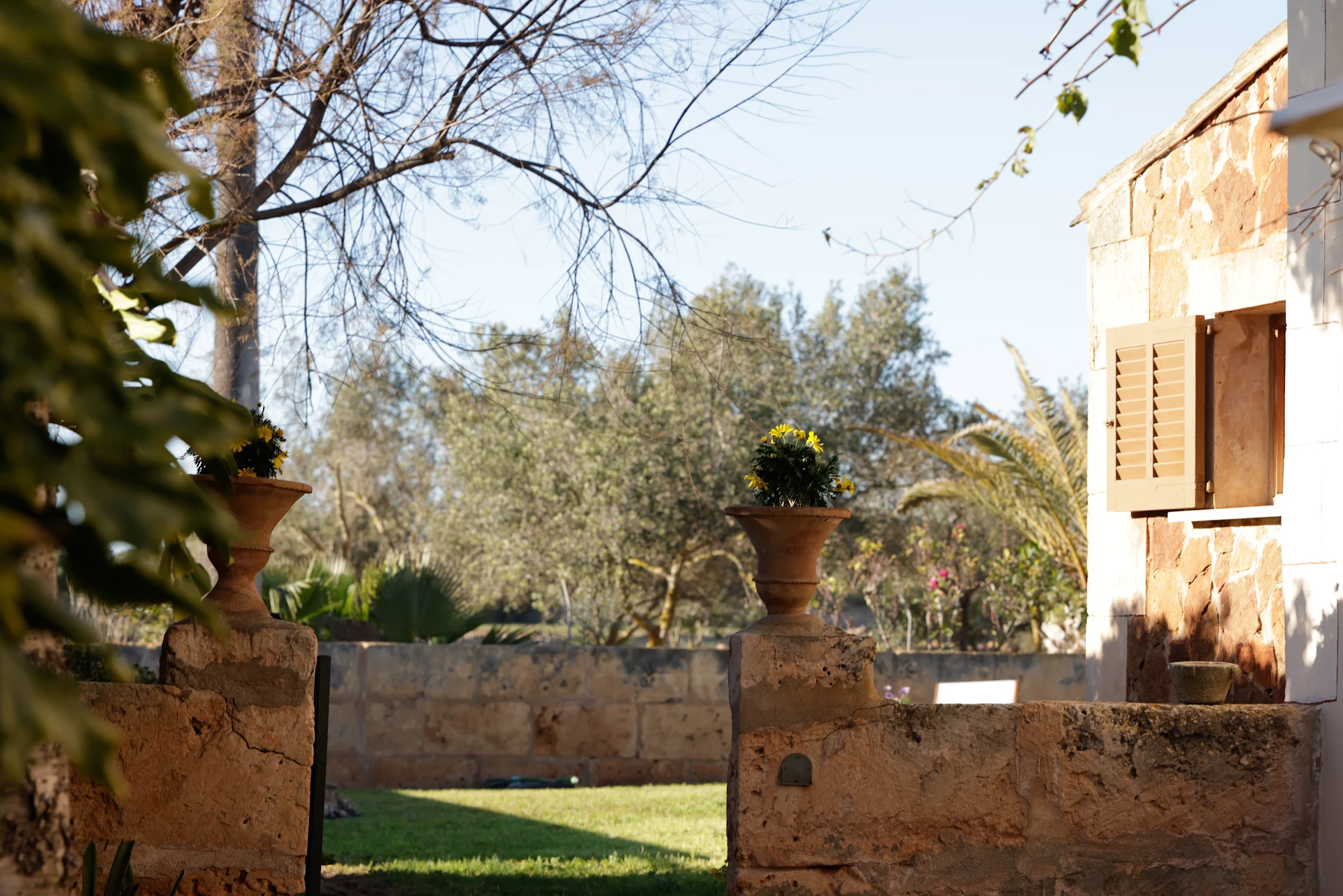 Agroturismo Finca Son Pieras