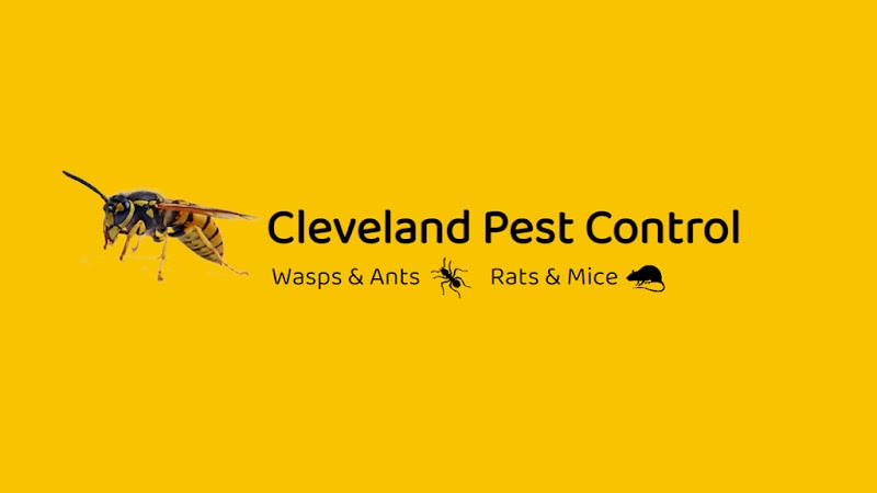 Cleveland Pest Control photo 2