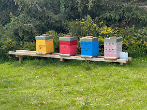 Photo n°18 de LES RUCHES DES FÉES à Lapoutroie (Épicerie fine)