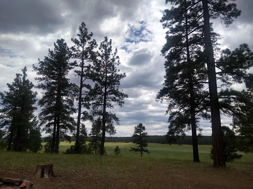 McGaffey Campground Gallery - United States