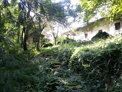 Photos of Свети Никола