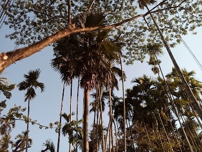 Photos of Shopnopuri Central Jame Mosque