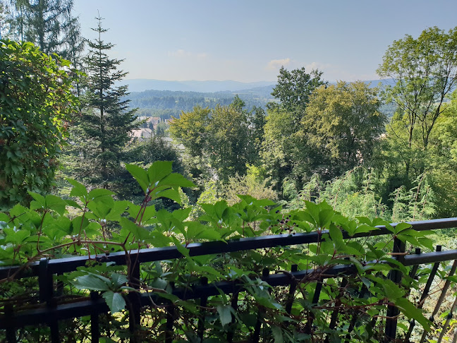 Comentarii opinii despre Willa Marysin