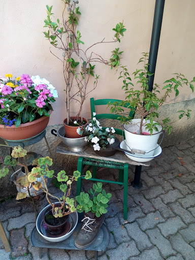 Fratelli Maristi - Casa Alpina Gallery - Italy