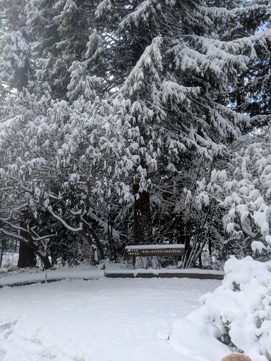 Saddleback Mini Park - Visual