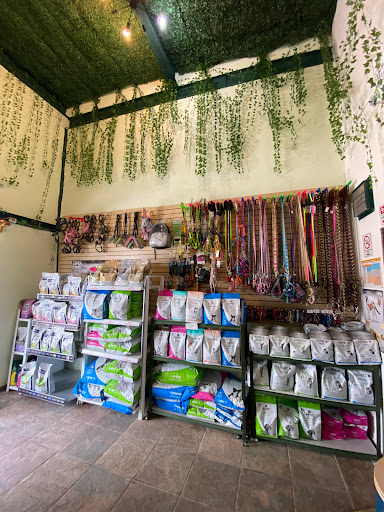 VET PET VETERINARIA TULUM
